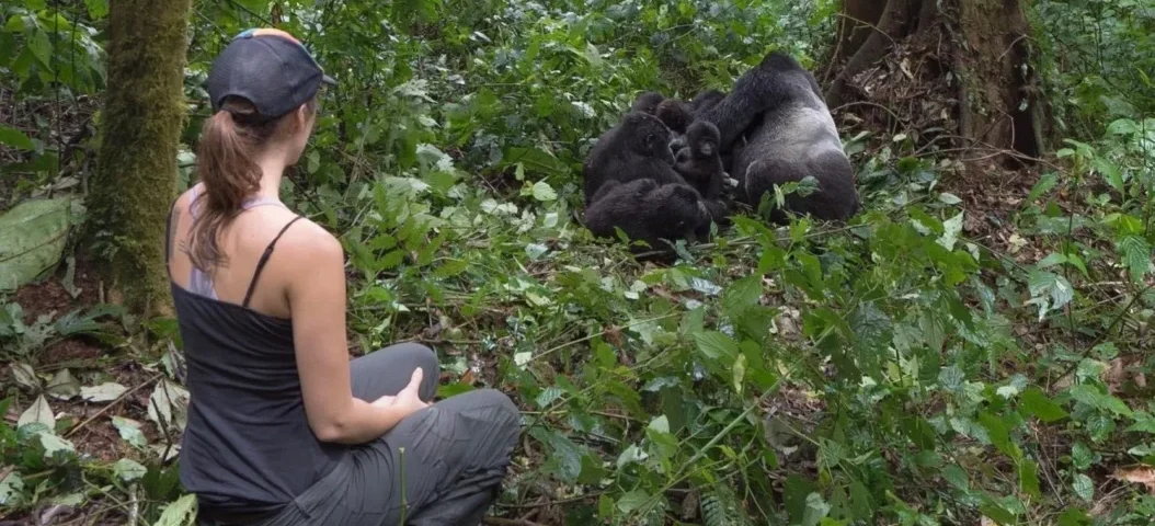 How Fit Do You Need to Be to Go Gorilla Trekking?