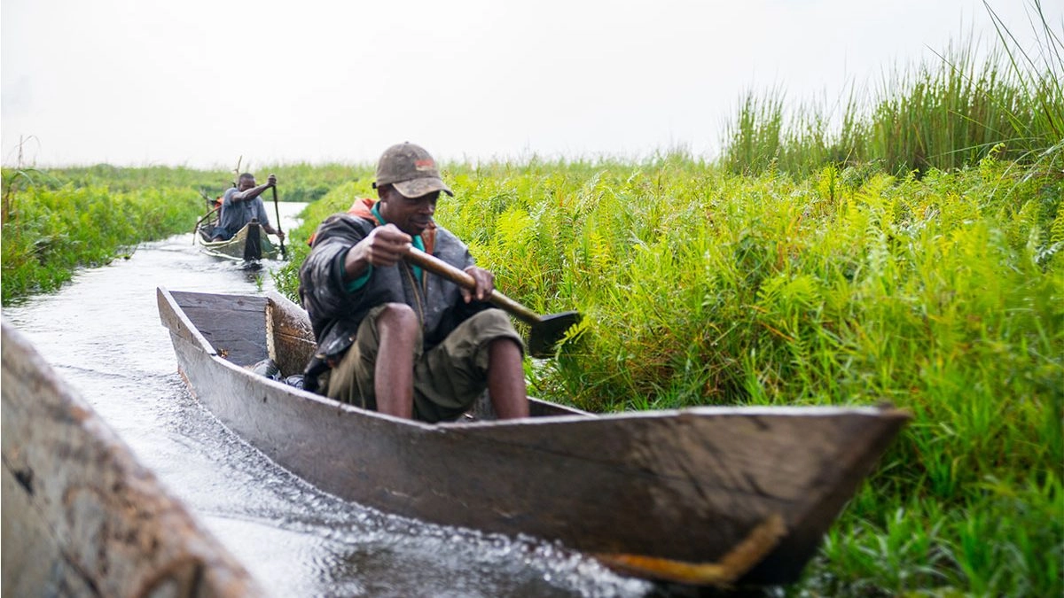 Mabamba Swamp