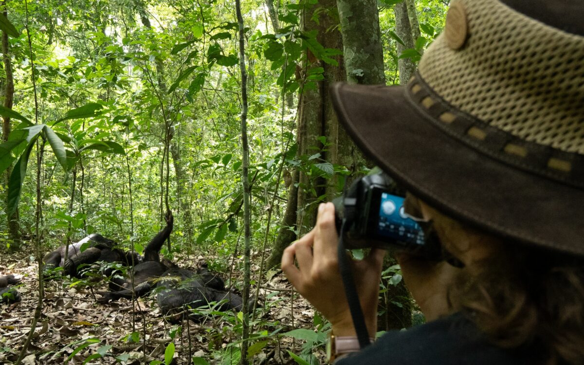 Kibale Forest National Park