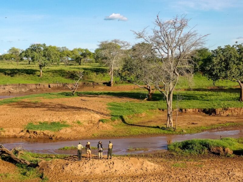 6 Days Affordable Tanzania Safari