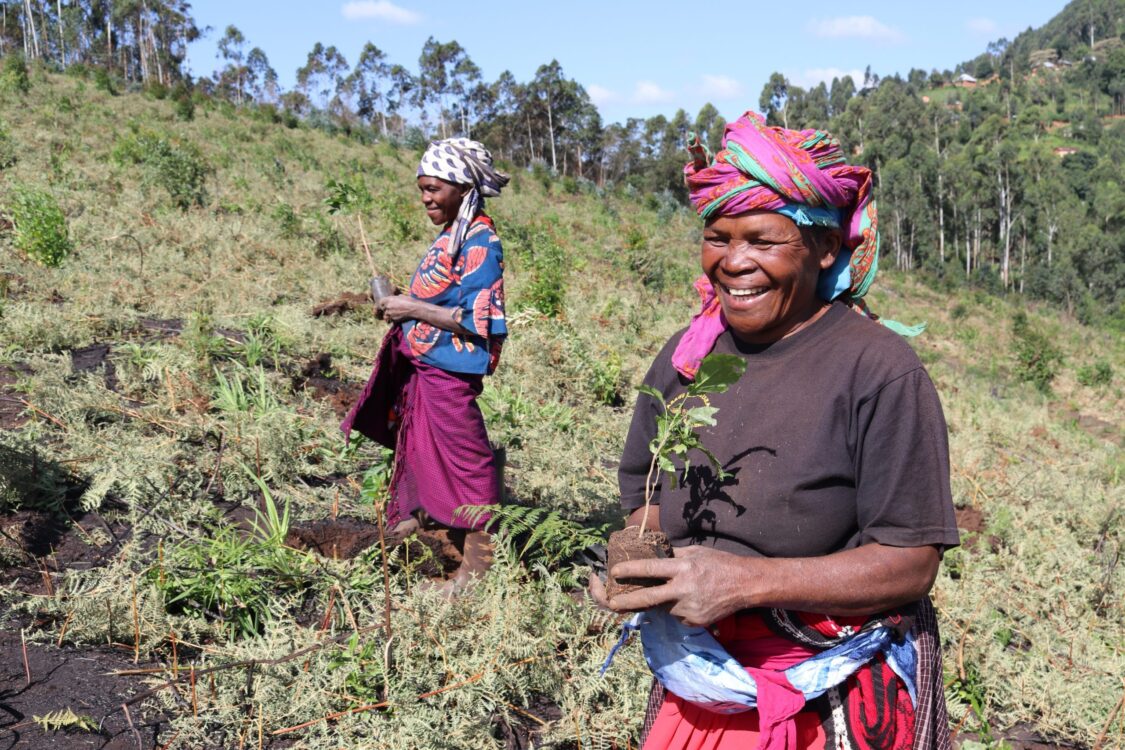 Usambara Mountains National Park