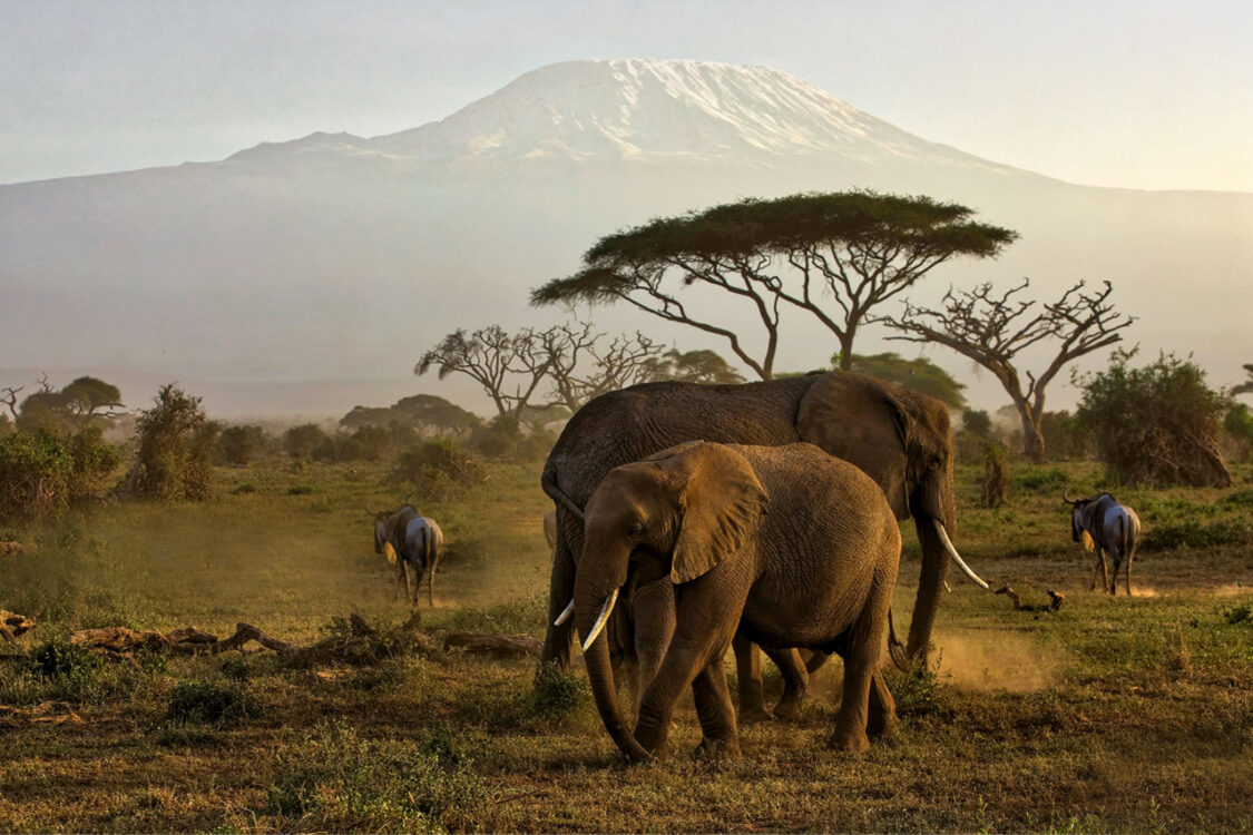 Amboseli National Park