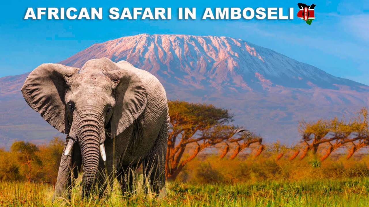 Amboseli National Park