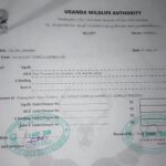 How Do I Book a Uganda Gorilla Trekking Permit?