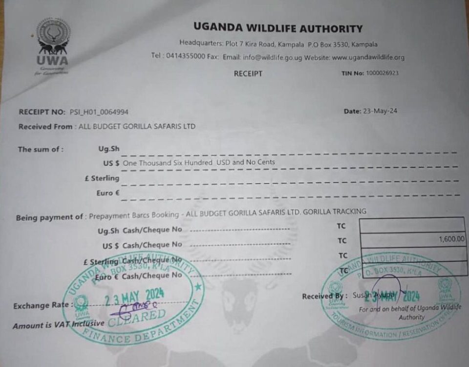 How Do I Book a Uganda Gorilla Trekking Permit?